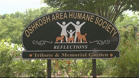 Oshkosh area humane society - On Sunday mornings, the Oshkosh Area Humane Society (OAHS) has zero volunteers. There are about 13,000 adoptions every year at the Wisconsin Humane Society (WHS) More than half of animals at the WHS need extra medical or behavioral support. Cathie Kissinger has volunteered at the Oshkosh Area …